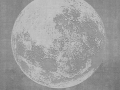Luna-Plena WDLU1702