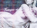 Faenna Wall & Deco WDFA1801