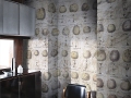 Pommes a Cidre Wall & Deco